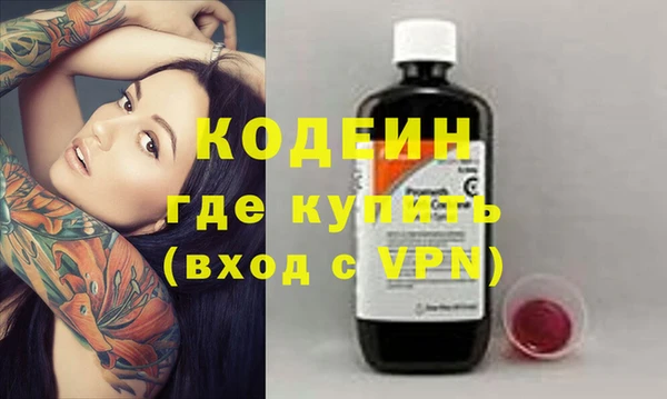гашик Вяземский