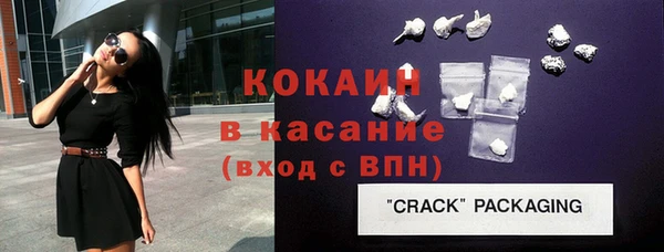 гашик Вяземский