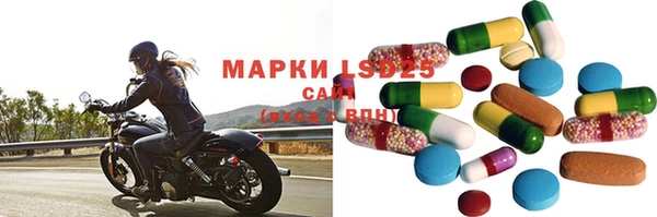 гашик Вяземский