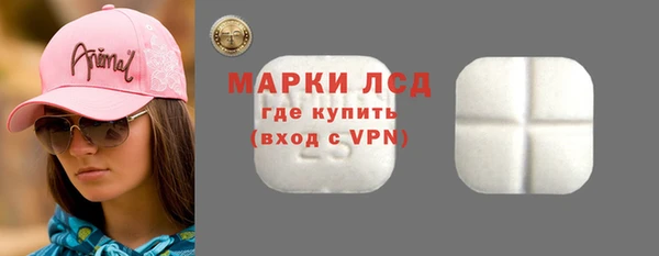 гашик Вяземский