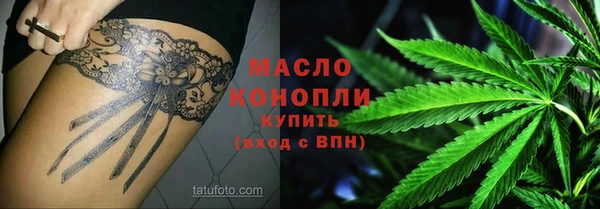гашик Вяземский