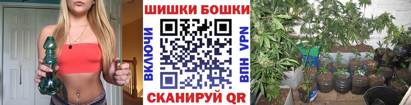 купить  сайты  нарко площадка какой сайт  KRAKEN онион  Марихуана конопля  Елизово 